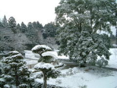 金田家の雪景色
